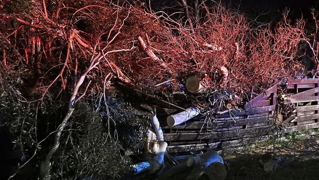 Tree falls on fence in Mordialloc. Picture: SES Chelsea Unit