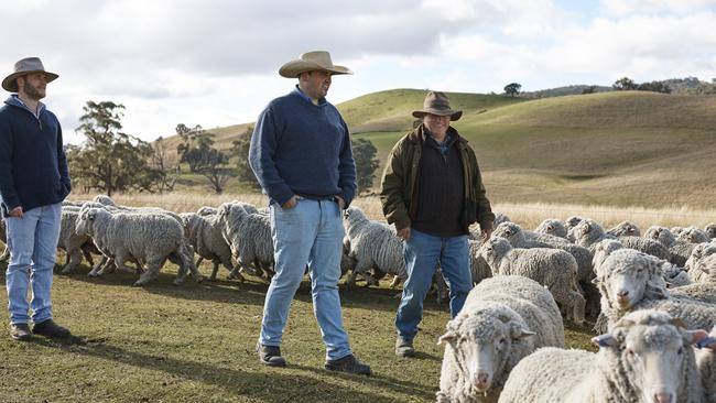 Australian Wool Innovation has funded a new advertising campaign that will be shown domestically, the first of its kind for 25 years.