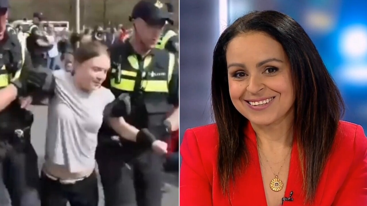 ‘Spoilt little brat’: Rita Panahi slams climate ‘clown’ Greta Thunberg