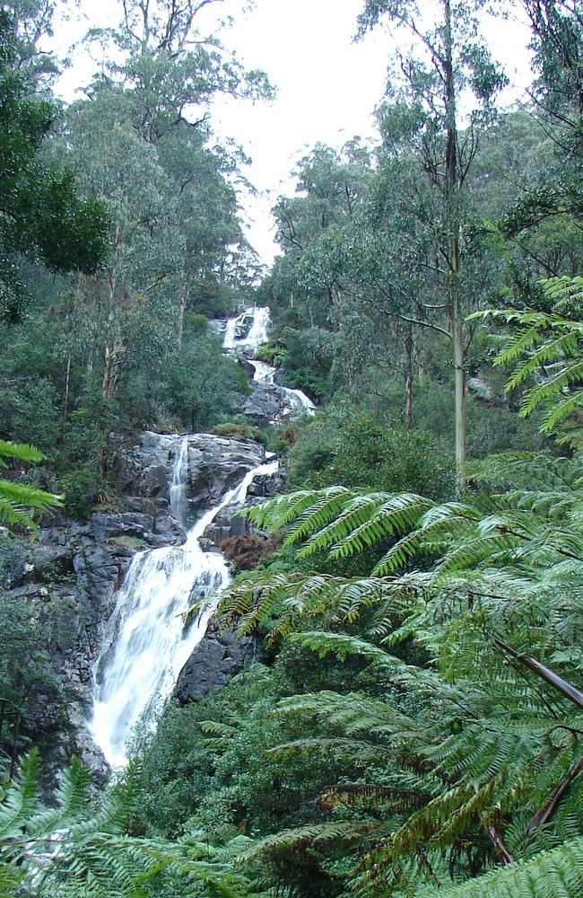 Steavenson Falls is accessible via a flat path. Picture: Gavin Whyte