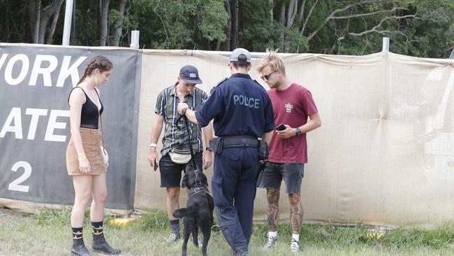 Police with sniffer dogs search three people (without success) at Falls Festival at Byron Bay.