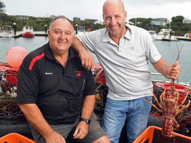 31/03/17  - Sky Seafoods owner Andrew Lawrie and Commercial Rock Lobster fisherman Paul Regnier at the Robe Marina with rock lobsters. Picture: Tom Huntley