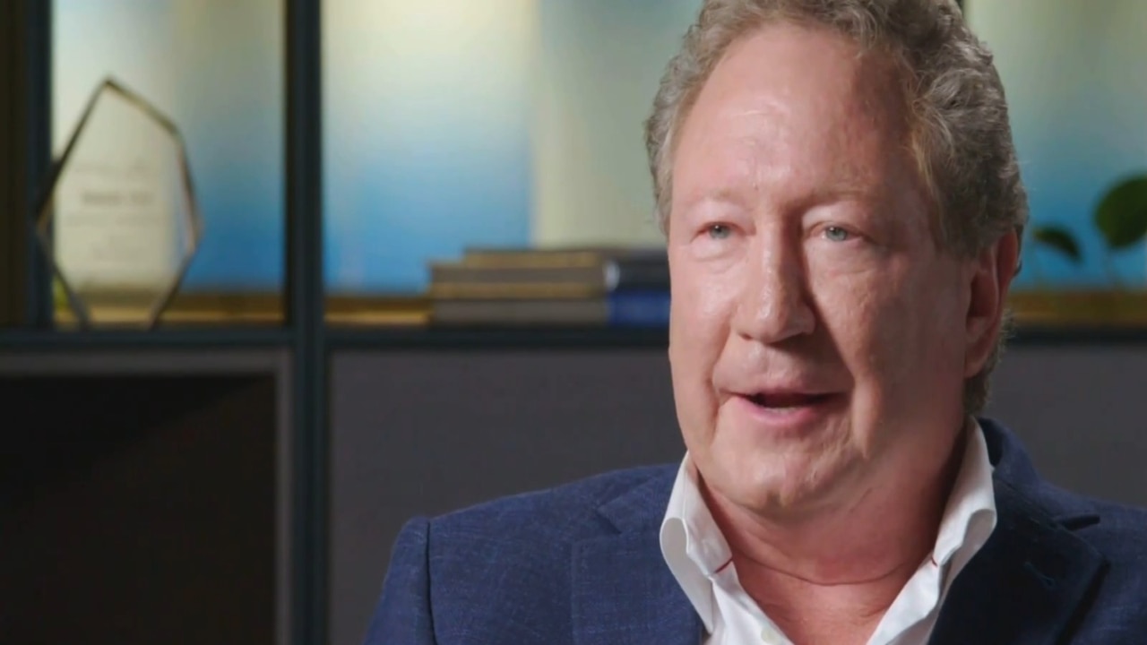 Twiggy Forrest is a ‘tremendous self-glorifying' hero