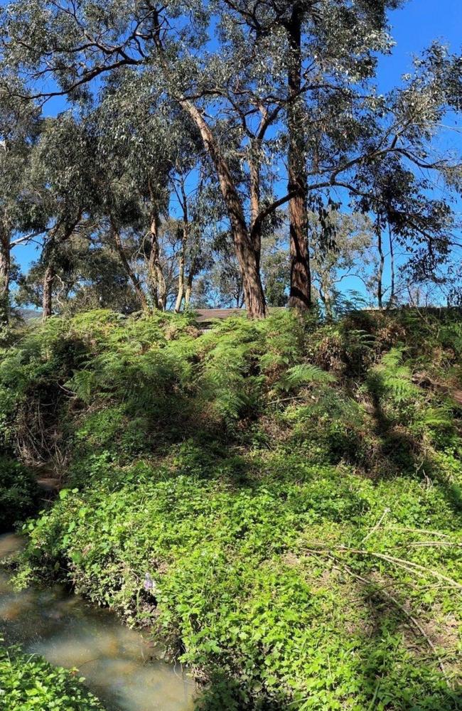 Residents can help to preserve Wayut Creek. Picture: Melbourne Water