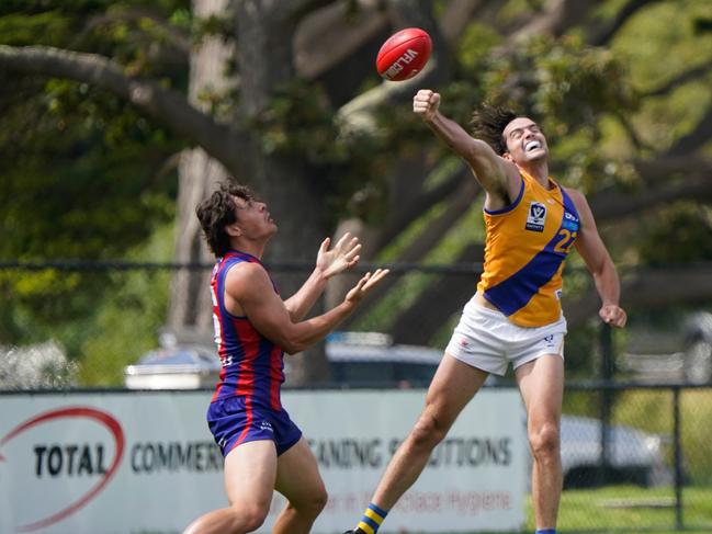 Luke Parks gets in a spoiling fist for the Towners. Picture: Valeriu Campan