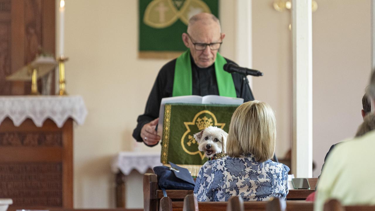 Luca at the Blessing of the Pets at All Saints Anglican Church, Saturday, October 12, 2024. Picture: Kevin Farmer