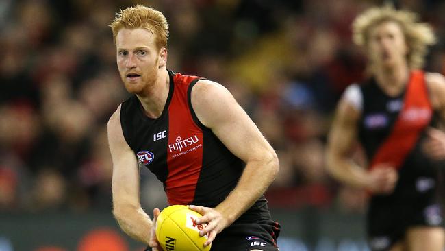 Essendon has dropped Aaron Francis. Picture: Michael Klein