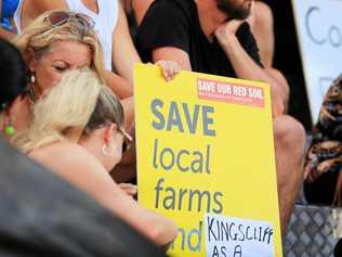 HOSPITAL KERFUFFLE: There was a strong opposition to the new Tweed Valley Hospital being built on agricultural land. Picture: Scott Powick