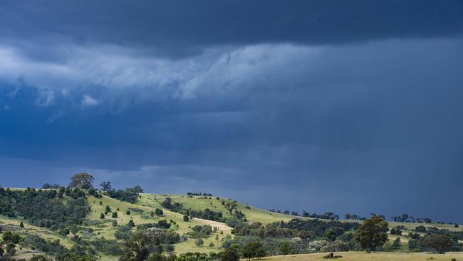 Record-breaking rainfall has put a spring in the step of livestock producers and grain growers across southeast Australia for the season ahead. Picture: Zoe Phillips