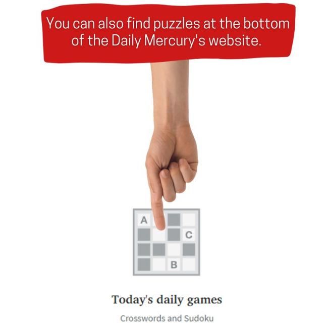 Where you can find daily puzzles at the bottom of the Daily Mercury’s index page.