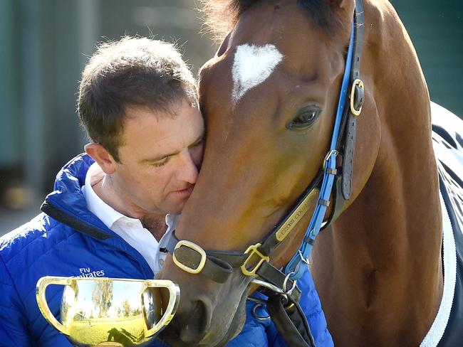 Charlie Appleby (Melbourne Cup-winning trainer) with Lexus Melbourne Cup winning horse Cross Counter at Werribee International Horse Centre.  Picture: Nicole Garmston