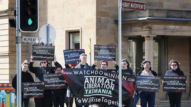 Animal rights protesters on the intersection in Hobart to promote a film exposing animal cruelty. Picture: NIKKI DAVIS-JONES