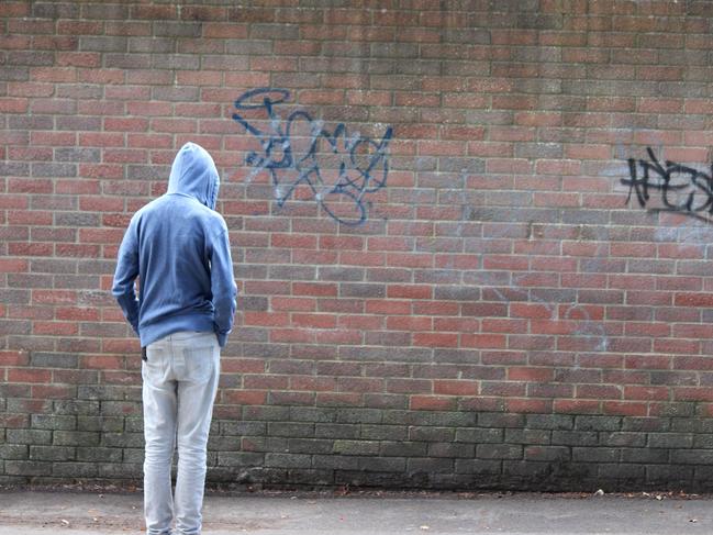 Poor behaviour by some youths and an attempted break in have resulted in the closure of the Mareeba PCYC youth drop in centre, the Pulse Cafe, which was open every night and received overwhelming local business support.