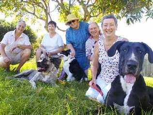 Campaigning for leash-free times for dogs at Ballina’s Angels Beach are residents (from left), John and Elizabeth Fletcher with Buffy, Carol Piggott with Jess, and Jim and Merrilyn Roche with Zilla. Picture: Cathy Adams