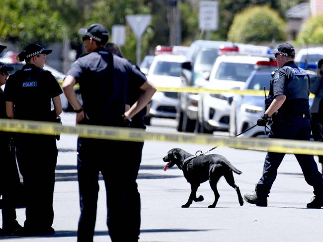 ADELAIDE, AUSTRALIA - Police respond to a firearms incident on Owen Street in Woodville North. Picture: NCA NewsWire / Naomi Jellicoe