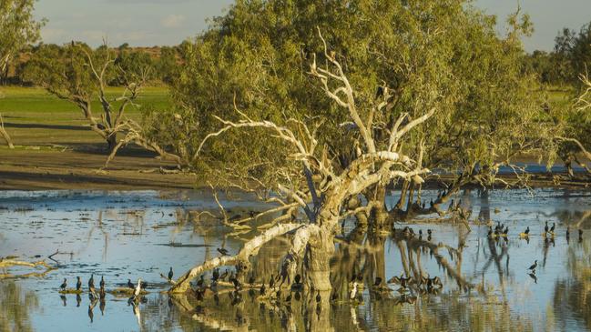 Flood water moves through western Queensland's Channel Country. Picture: Kerry Trapnell/Pew Trusts.