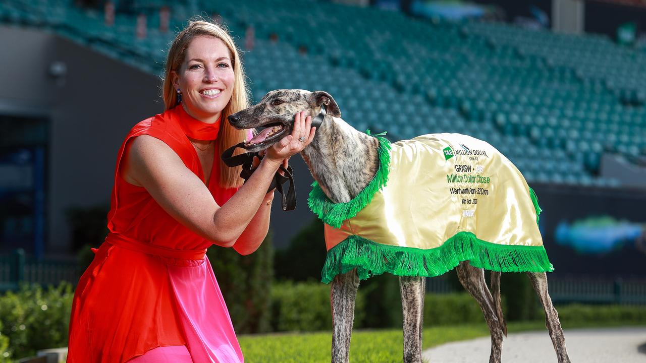 1m-prize-money-in-world-s-richest-greyhound-race-the-courier-mail