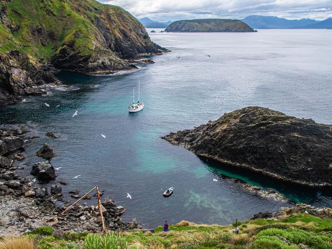 The Juliene supplying fresh food to volunteers at Alomes Gulch, Maatsuyker Island. Picture: Peter Marmion