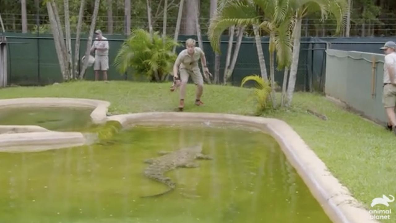 Robert Irwin screams "bail" as a crocodile darts for him.