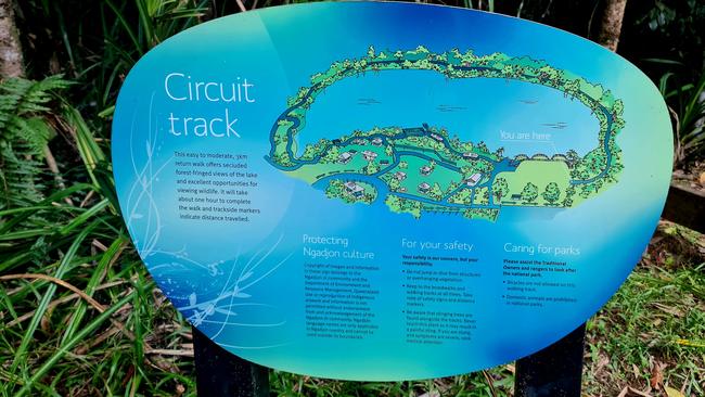 Walking the circuit track is a great way to learn more about the native flora. Picture: Danica Clayton