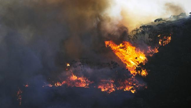 An out of control fire on Narrow Neck Plateau in the Blue Mountains, Australia. Picture: Supplied