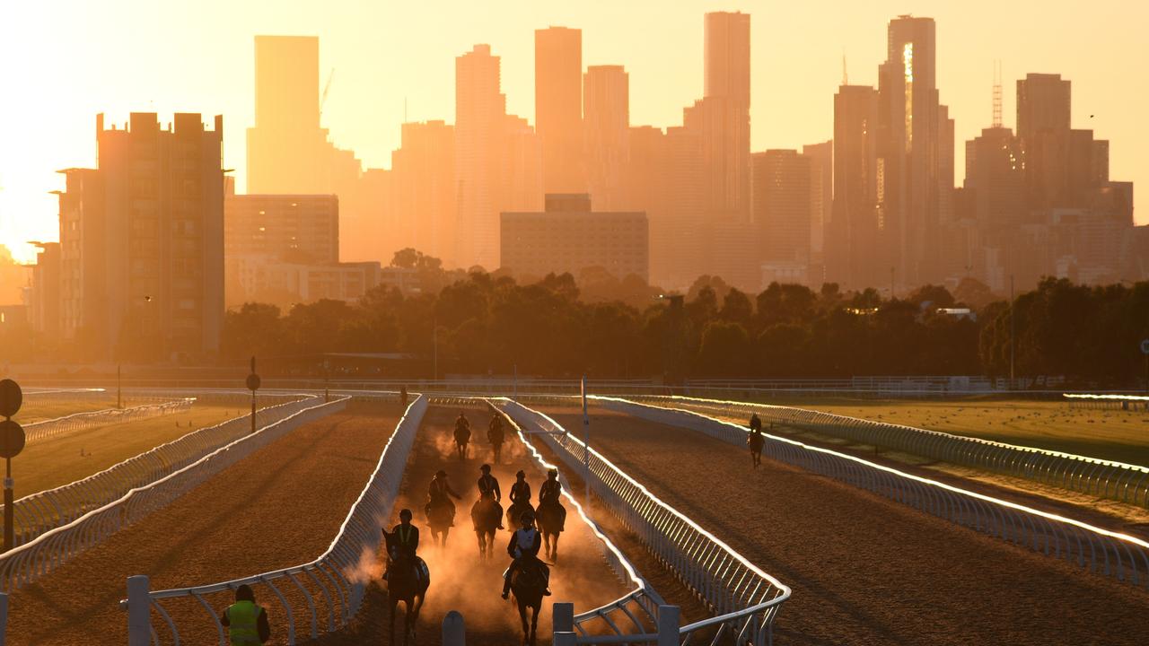 General view of horses steaming up after galloping during a trackwork session at Flemington Racecourse on Tuesday.
