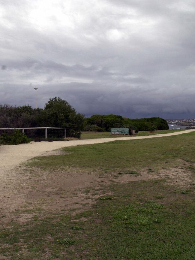 And at Dunningham Reserve at Coogee. Picture: Glenn Dickerson