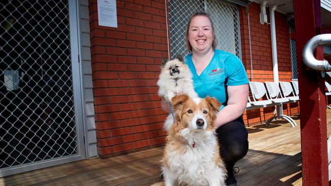 Veterinary Surgeon and President of AVA in Tasmania Dr Rhianna Booth at her Brighton Surgery with dogs Temu Charles and Breeze. Picture: Linda Higginson