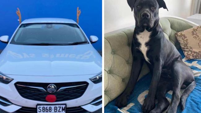 A car with a Labrador-Staffordshire dog inside was stolen from the Adelaide CBD on Tuesday, January 21, but has since been found. Picture: SA Police