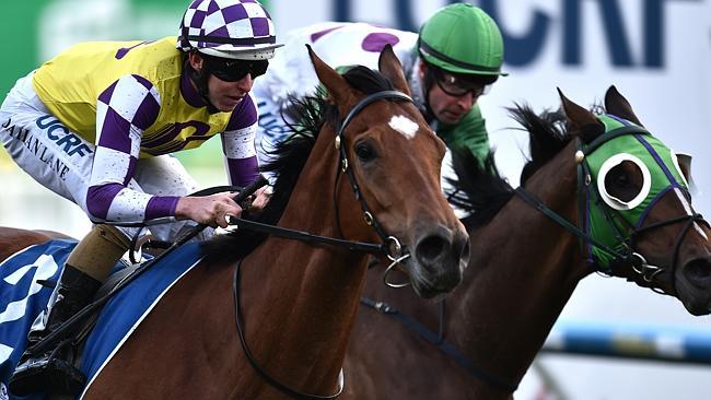 Damian Lane eases Sacred Elixir (left) down after his strong win in the Super Vase at Moonee Valley. Picture: AAP