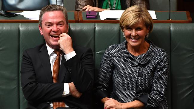 Christopher Pyne and Julie Bishop during Question Time in the House of Representatives at Parliament House in Canberra last May.