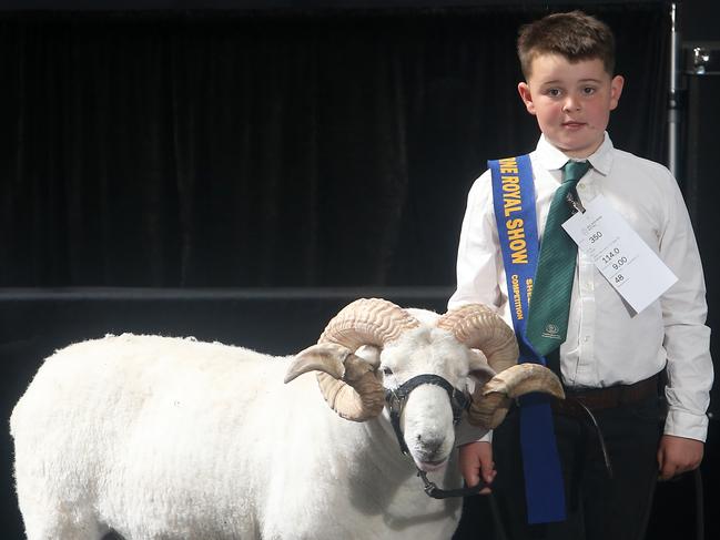 Justin O'Loghlin from Blighty NSW with his Whiteshire Horn ‘Chaos’. Picture: Yuri Kouzmin