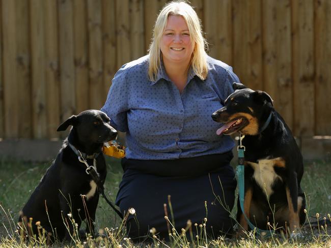 Lauren Cullen with Cody and Digger, who she says were deliberately targeted by a n animal killer. Picture : George Salpigtidis