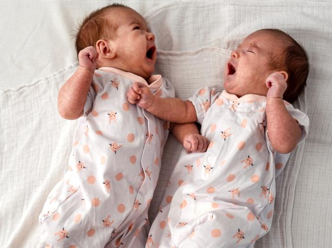 The babies are due on Christmas Day. Picture: iStock.