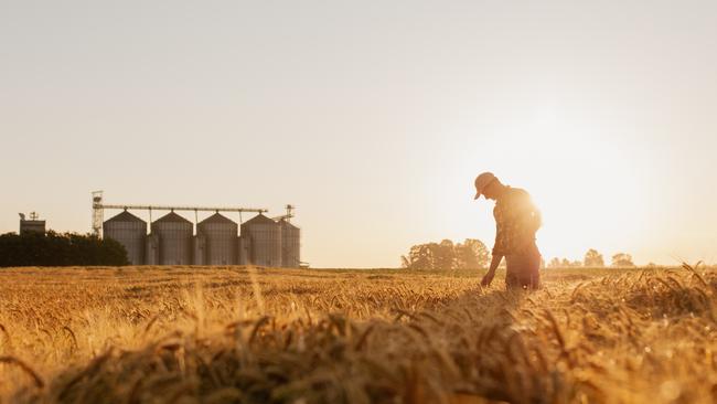 Families – and farmers – are in distress and experiencing trauma.