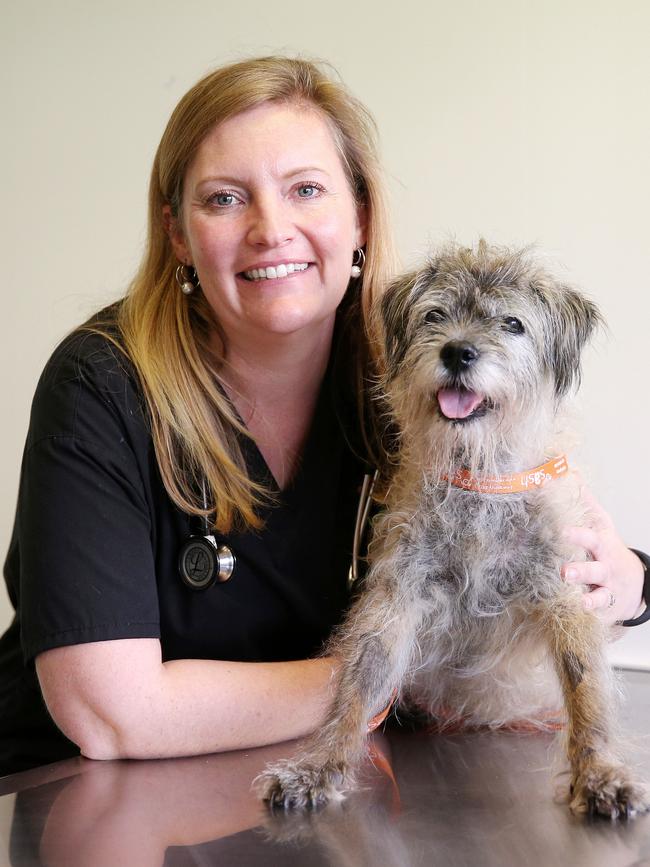 “It’s incredibly satisfying and rewarding,” says SASH Oncologist Dr Sandra Nguyen of her work. She’s pictured with chemotherapy patient Uig. Picture: Tim Hunter.