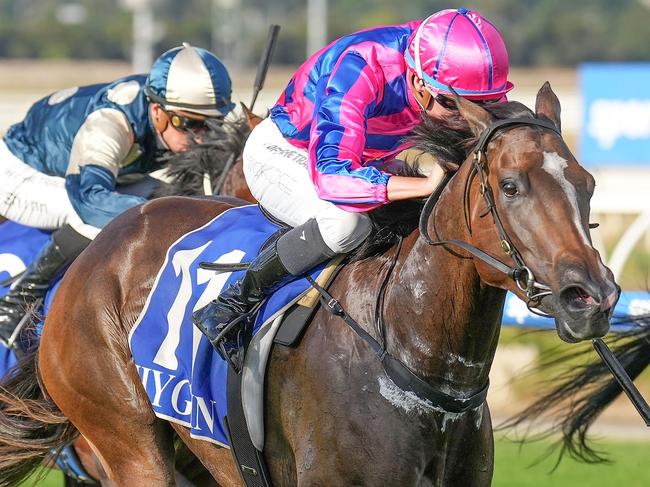 Coast Princess ridden by Michael Dee wins the Frank Clebney 2YO Maiden Plate (Chute) at Sportsbet Pakenham on February 23, 2023 in Pakenham, Australia. (Scott Barbour/Racing Photos)