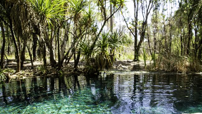 Cambrian Limestone Aquifer flows into the Mataranka Springs Complex, Northern Territory.