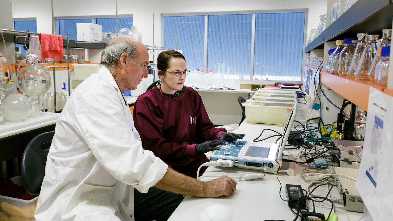 New nasal spray could assist in treating traumatic brain injuries