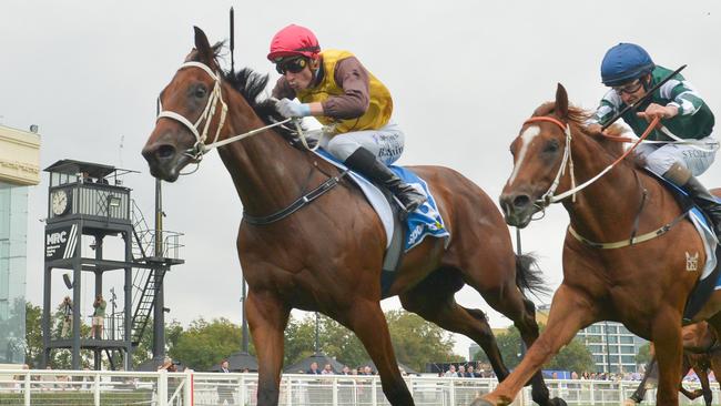 Field Of Play ridden by Blake Shinn wins the Sportsbet Blue Diamond Prelude (C&G) at Caulfield Racecourse on February 08, 2025 in Caulfield, Australia. (Photo by Reg Ryan/Racing Photos via Getty Images)