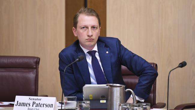 Paterson during a Senate inquiry in 2019. Picture: AAP