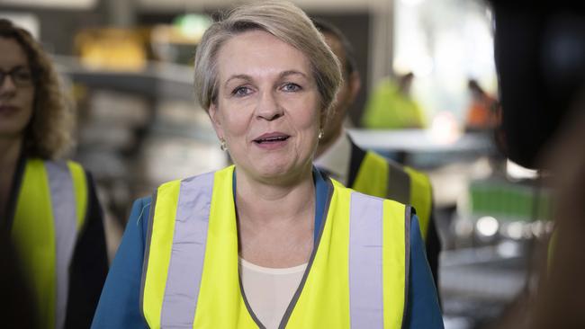 Environment Minister Tanya Plibersek. Picture: NCA NewsWire / Gary Ramage