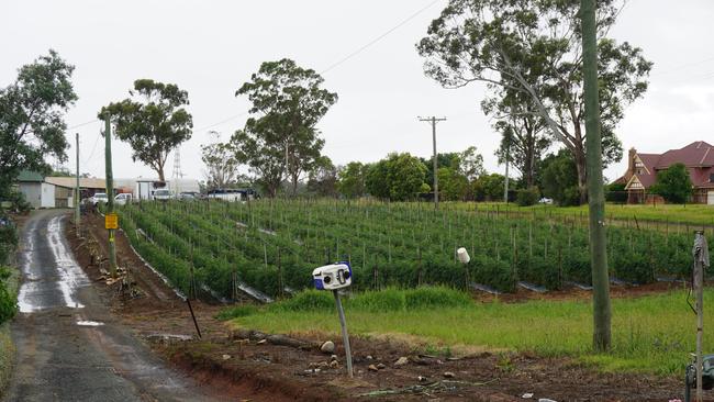 A farmland in Cecil Park on the main road. It is adjacent to large estate properties. Picture: Tony Ibrahim