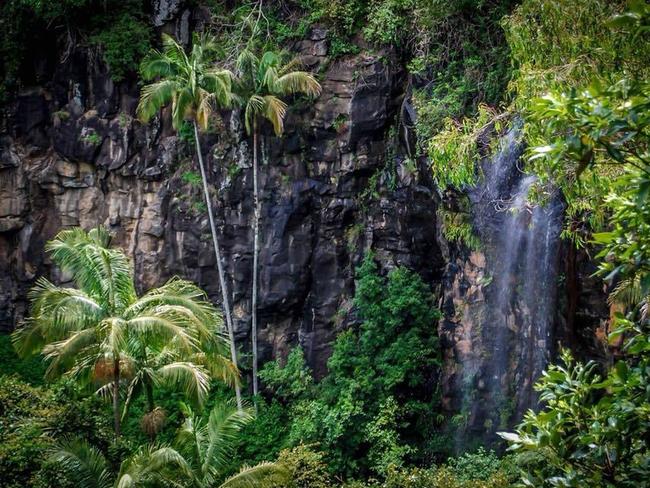 Cameron Falls Mt Tamborine