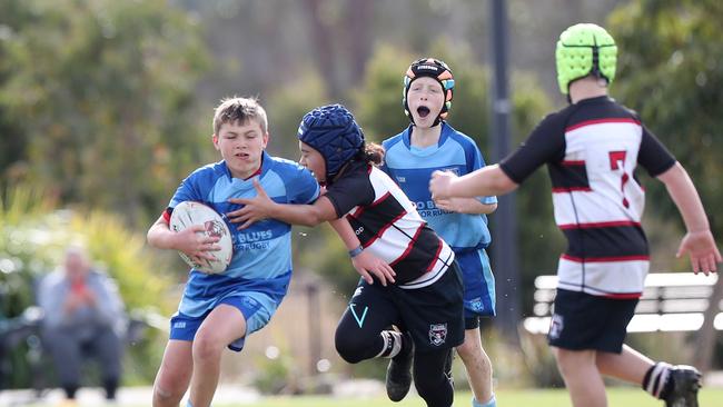 Parramatta v West Harbour at the gala.