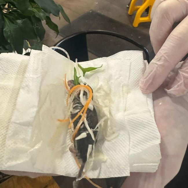 A dead rat allegedly found in a salad at a Sydney restaurant. Picture: Supplied