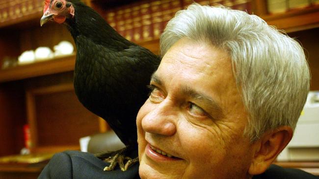 An honourable mention for Beattie government Primary Industries Minister Henry Palaszczuk – pictured here with Bantam Australorp Henrietta in 2003 – who could hypnotise chickens, a feat he performed on live radio for Macca’s <i>Australia All Over</i> national ABC program in Toowoomba. Picture: Derek Moore