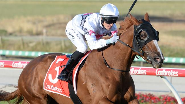 Stupendous ridden by Logan Bates wins the Designer Coolrooms Handicap at Cranbourne Racecourse on December 13, 2024 in Cranbourne, Australia. (Photo by Ross Holburt/Racing Photos via Getty Images)