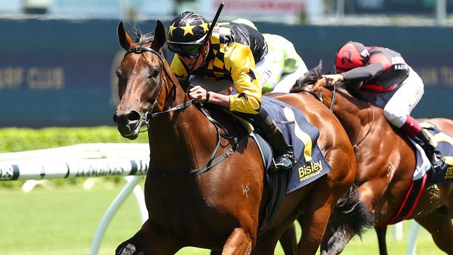 Terra Mater contests the $1m Provincial-Midway Championships Final at Randwick on Saturday. Picture: Jeremy Ng/Getty Images