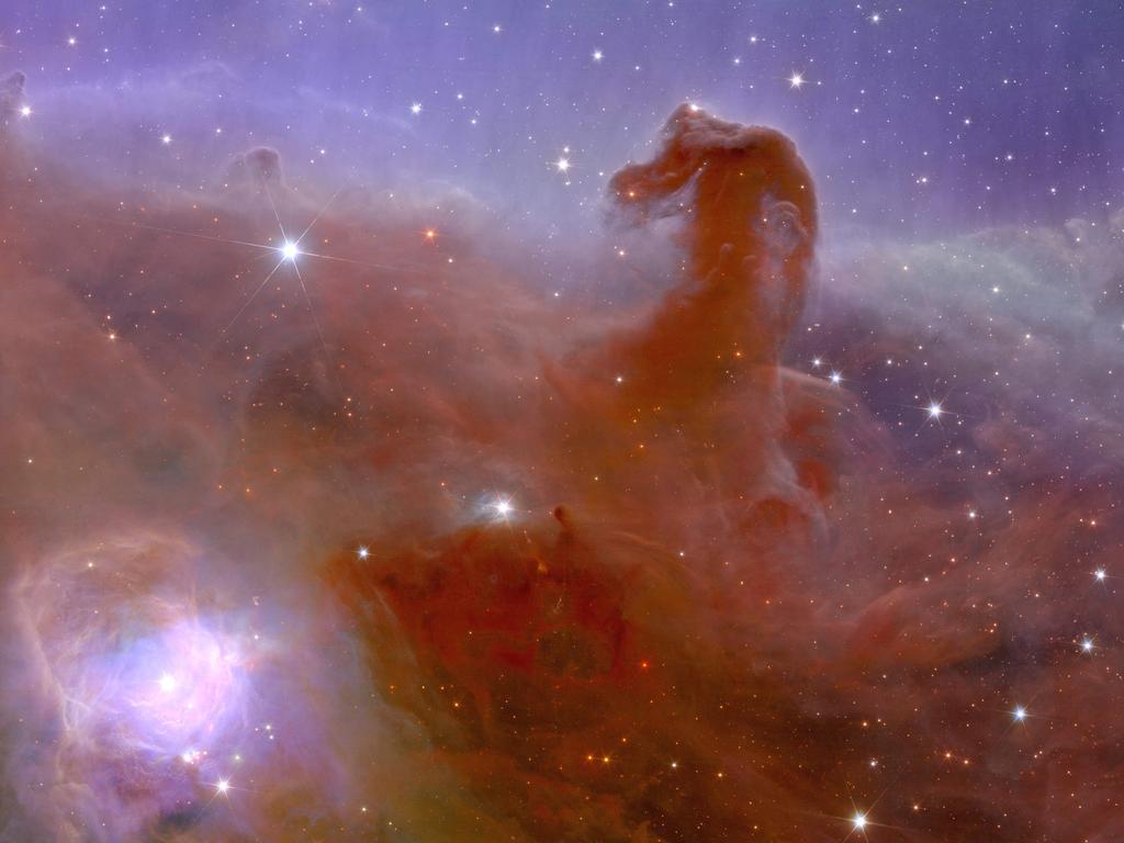 Images from Europe's Euclid space telescope show a nebula resembling a horse's head, never-before-seen distant galaxies and even 